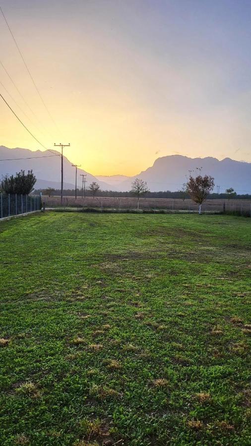 Countryside Apartments First Floor Трикала Экстерьер фото