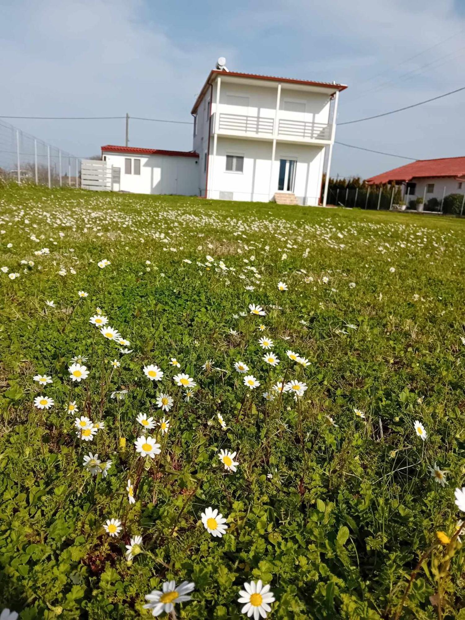 Countryside Apartments First Floor Трикала Экстерьер фото